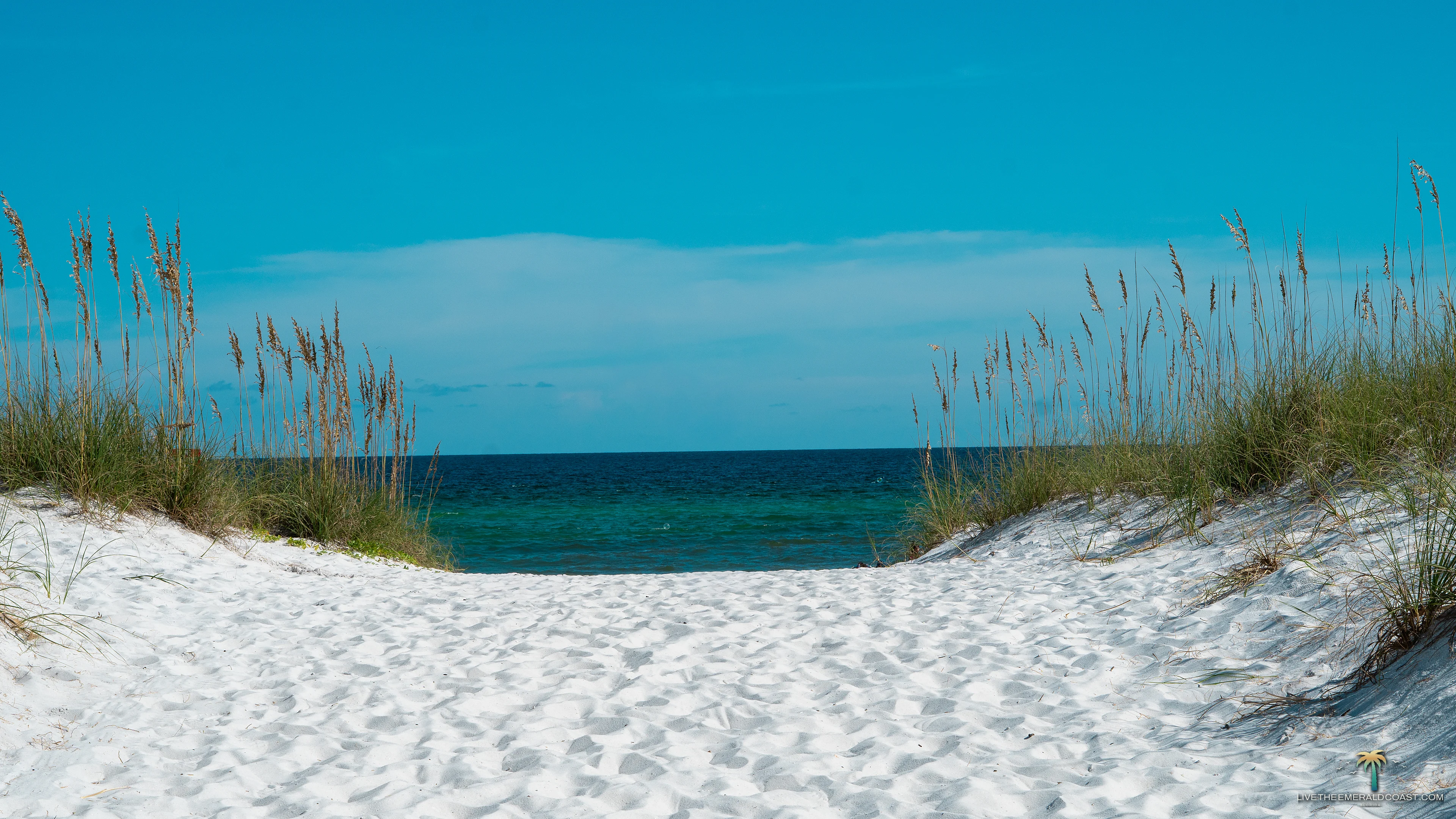 White sand dunes and sea oats framing the emerald green Gulf of America at Navarre Beach, Florida