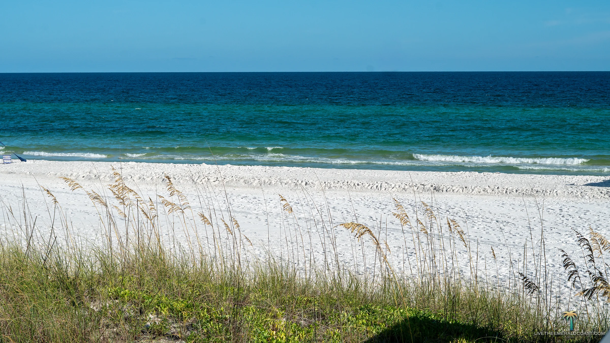 Sea oats on the dune line with the emerald water beyond on an undeveloped stretch at Navarre Beach, Florida